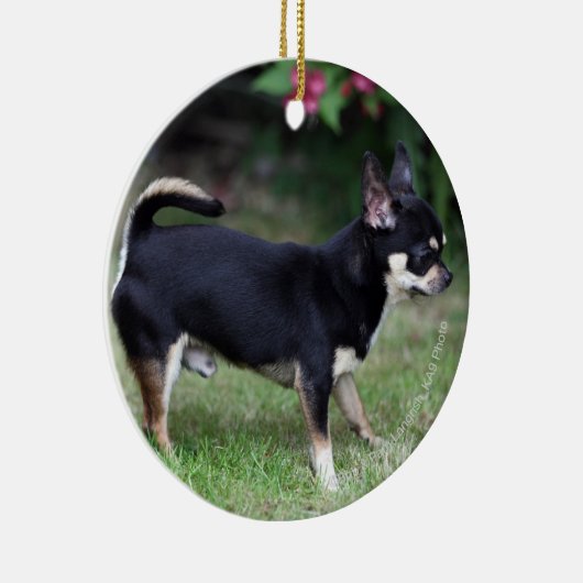 Short Hazard Chihuahua Standing Keramisch Ornament (Rechts)