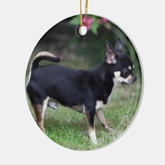 Short Hazard Chihuahua Standing Keramisch Ornament (Links)