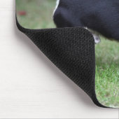 Short Hazard Chihuahua Standing Muismat (Hoek)