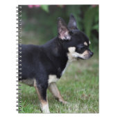 Short Hazard Chihuahua Standing Notitieboek (Voorkant)