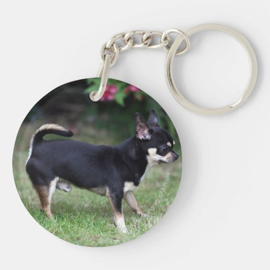 Short Hazard Chihuahua Standing Sleutelhanger (Achterkant)