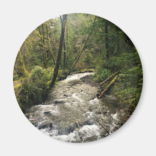 Short Sand Creek, Oswald West, Oregon Magneet (Voorkant)