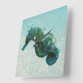 Short-Snouted Seahorse | Crimea, Russia Vierkante Klok (Hoek)