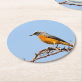 Short-Toed Rock-Thrush Ronde Kartonnen Onderzetter (Gebogen)