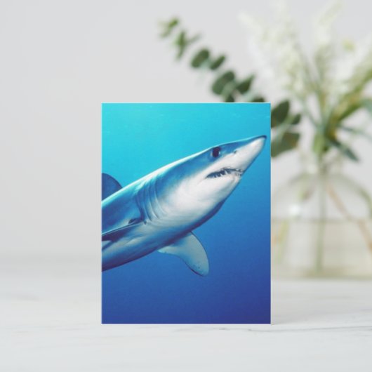 Shortfin Mako Shark Briefkaart (Staand voorkant)