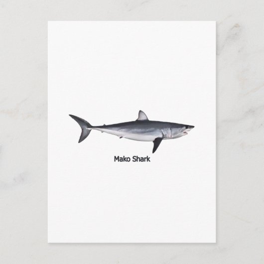 Shortfin Mako Shark Illustratie Briefkaart (Voorkant)