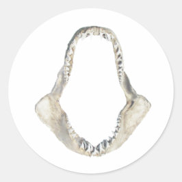 Shortfin Mako Shark Jaws Logo Ronde Sticker