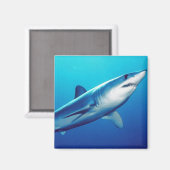 Shortfin Mako Shark Magneet (Voorkant / Achterkant)