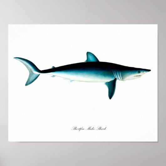 Shortfin Mako Shark Poster Art Print nr. 4 (Voorkant)