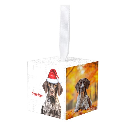 Shorthair Pointer Dog Two Photo Christmas Holiday Decoratie (Voorkant hoekig)