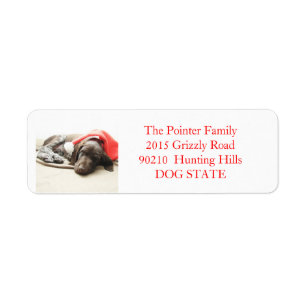 Shorthaired Pointer Holiday Adres Label
