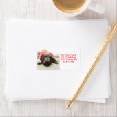 Shorthaired Pointer Holiday Adres Label (Insitu)