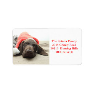 Shorthaired Pointer Holiday Adres Label
