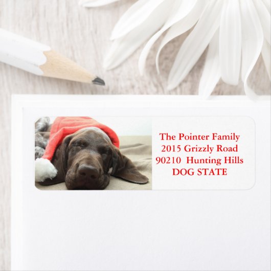 Shorthaired Pointer Holiday Adres Label (Insitu)