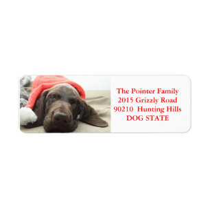 Shorthaired Pointer Holiday Adres Label