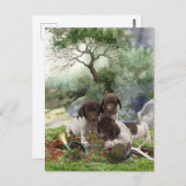 Shorthaired Pointer schattige puppies Briefkaart (Voorkant / Achterkant)