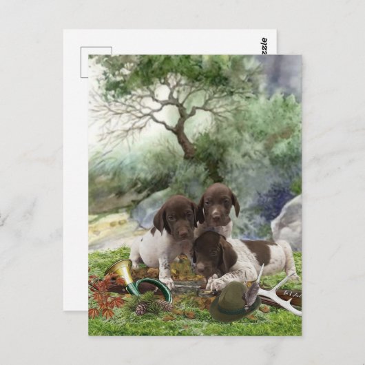 Shorthaired Pointer schattige puppies Briefkaart (Voorkant / Achterkant)