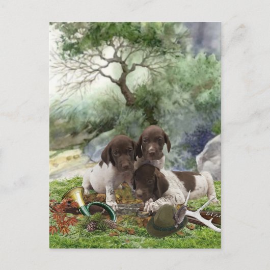 Shorthaired Pointer schattige puppies Briefkaart (Voorkant)