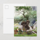 Shorthaired Pointer schattige puppies Feestdagenkaart (Voorkant / Achterkant)