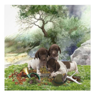 Shorthaired Pointer schattige puppies Foto Afdruk