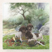 Shorthaired Pointer schattige puppies Glazen Onderzetter (Voorkant)