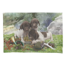 Shorthaired Pointer schattige puppies