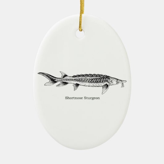 Shortnose Sturgeon Keramisch Ornament (Voorkant)