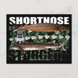 Shortnose Sturgeon Scutes Briefkaart