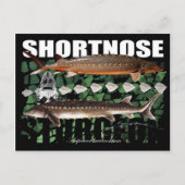Shortnose Sturgeon Scutes Briefkaart (Voorkant)