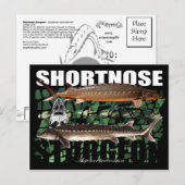 ShortnoseCollage-PCard Briefkaart (Voorkant / Achterkant)