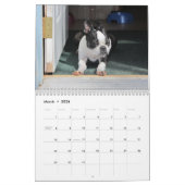 Shorty Biscuits 2013 Agenda Kalender (Mar 2026)