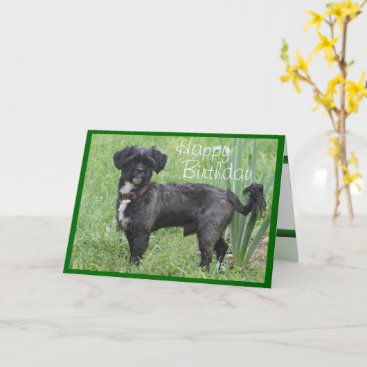 Shorty door Iris-customize om het even welke Kaart (Gele Bloem)