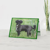 Shorty door Iris-customize om het even welke Kaart (Voorkant)