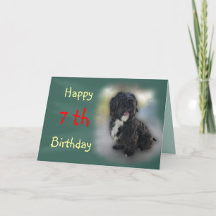 Shorty Lhasa Apso-Shih Tzu Kaart-customize Kaart