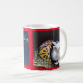 Shorty Rabbitskins Dwarf Hotot Specialty Mok (Voorkant rechts)