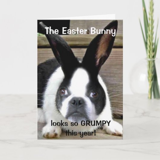 Shorty's Paasfeest Kaart 2011 (Voorkant)