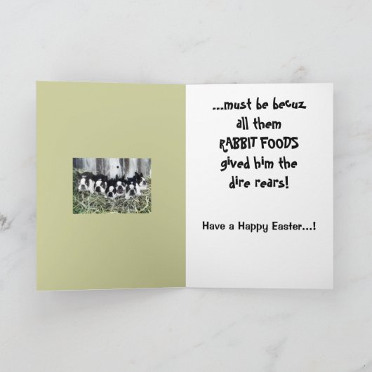 Shorty's Paasfeest Kaart 2011 (Binnen)