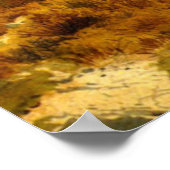 Shoshone Herfsten, Snake River, Idaho Poster (Hoek)