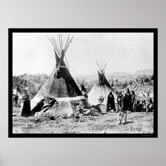 Shoshoni Indian and Skin Tipis 1884 Poster (Voorkant)
