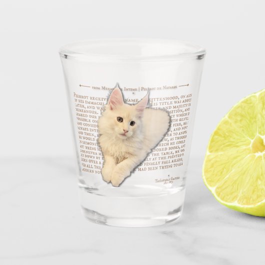 Shot glas - crème Maine Coon kitten (Voorkant)