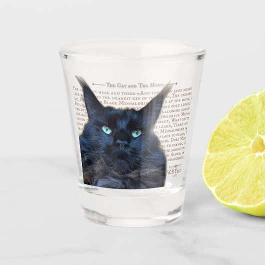 Shot glas - zwart Maine Coon kat (Voorkant)