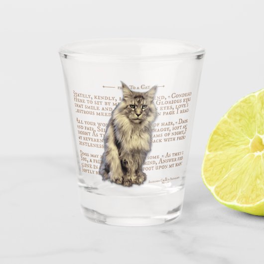 Shot glas - zwart zilver tabby Maine Coon kat (Voorkant)