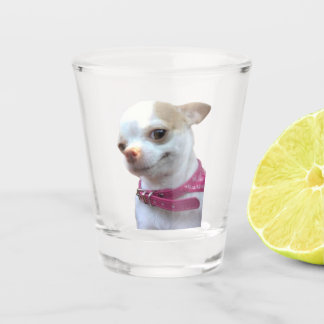 Shot Glass  Chihuahua Dog Meme Glas