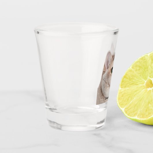 Shot Glass Heavy Breathing Cat Meme Glas (Links)