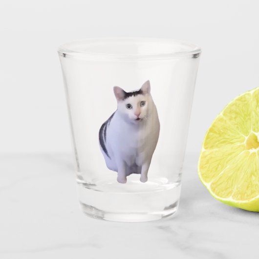 Shot Glass Huh Cat Meme Glas (Voorkant)