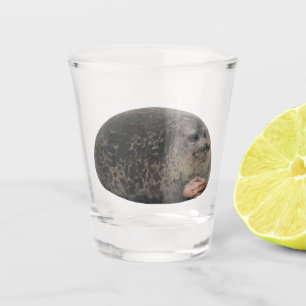 Shot Glass Judging Seal Meme Glas