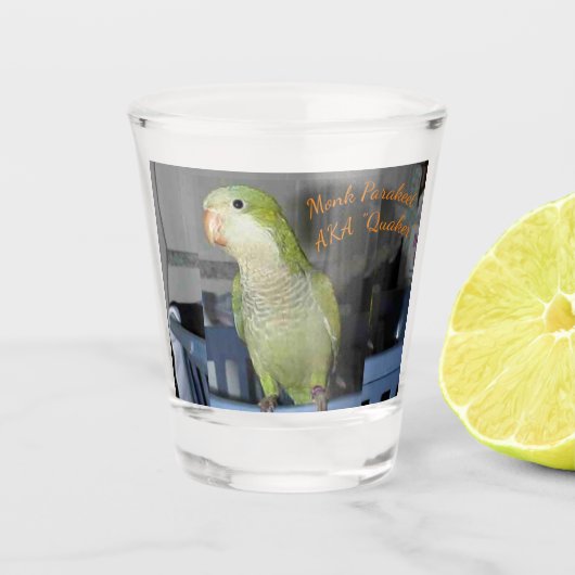Shot Glass met Quaker Paraket-motief Glas (Voorkant)