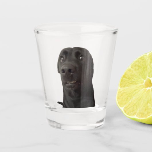 Shot Glass Scared Dog Meme Glas (Voorkant)