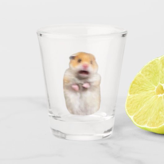 Shot Glass Scared Hamster Meme Glas (Voorkant)