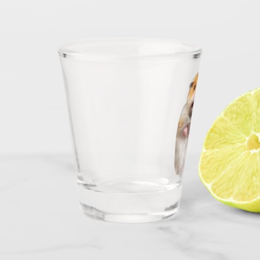 Shot Glass Scared Hamster Meme Shot Glas (Links)